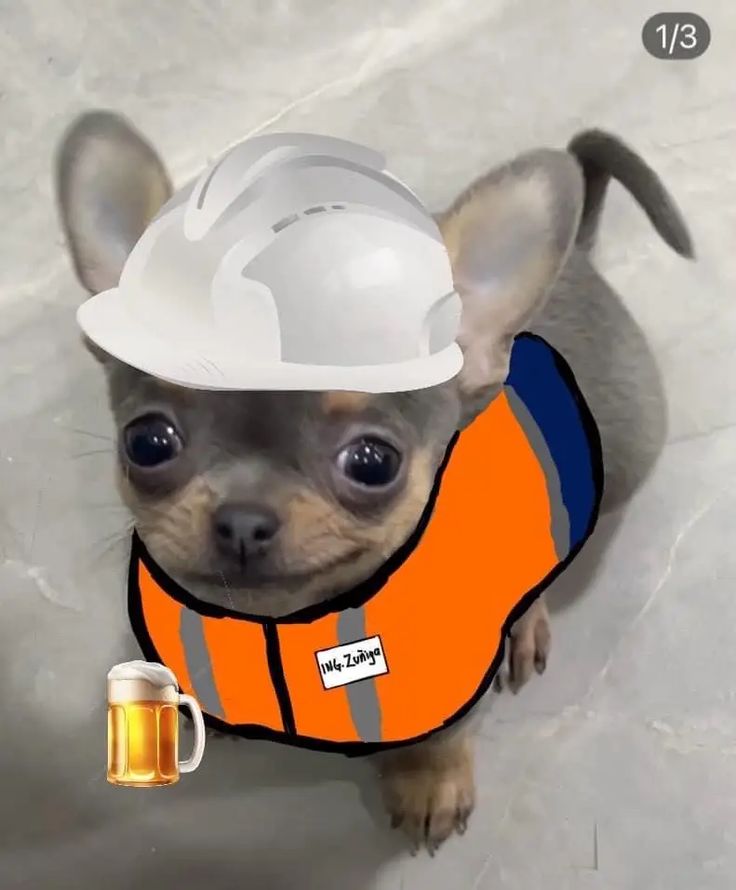 Ingeniero Perroberto Lopez